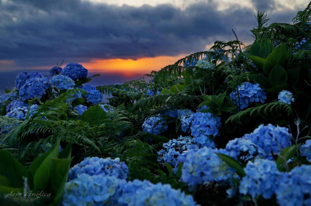 Casa Do Avo Silva Villa ซังตาครูซ ดัส ฟลอริช ภายนอก รูปภาพ